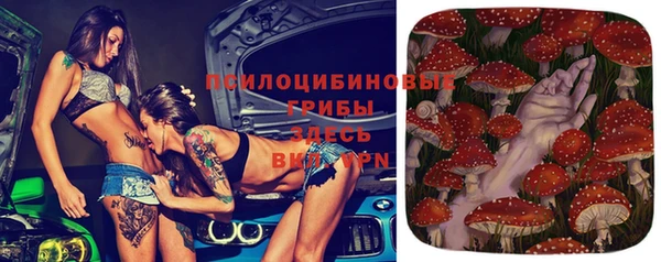трава Мегион