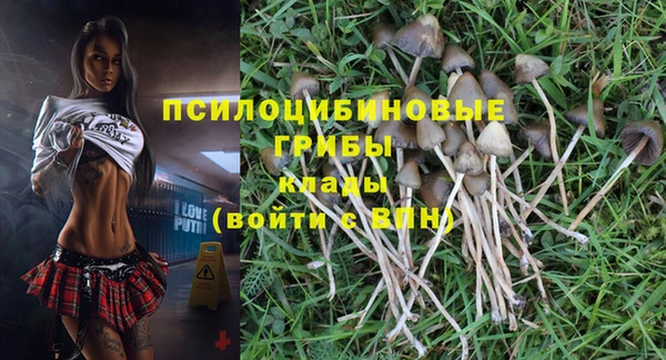 трава Мегион