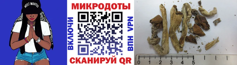 Псилоцибиновые грибы ЛСД  Елизаветинская 